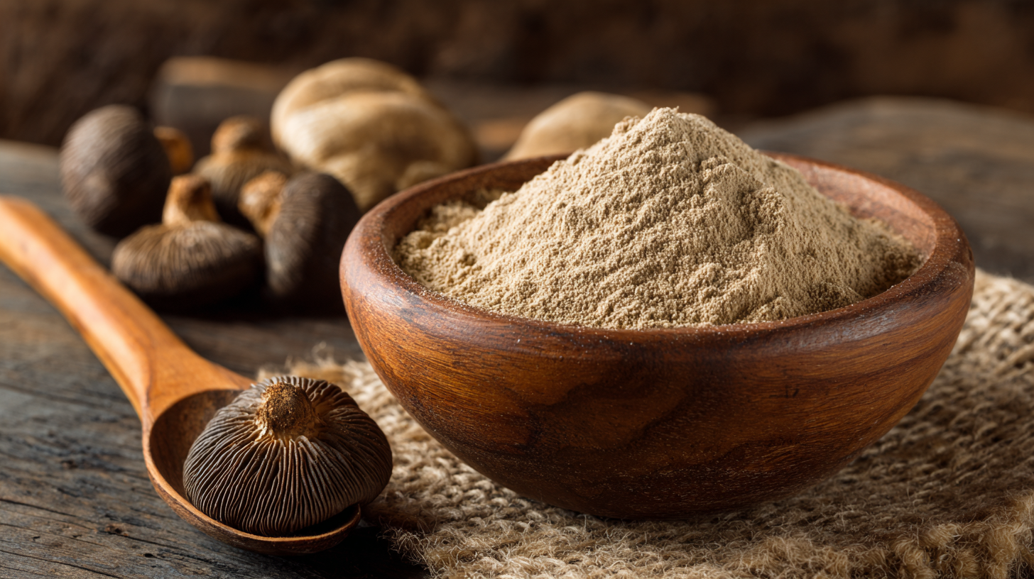 7 Incredible Benefits of Phellinus Linteus Extract Powder You Should Know