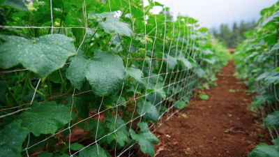 5 Essential Tips for Maximizing Your Garden with Trellis Netting