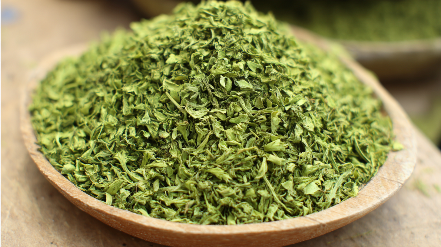 Exploring Market Trends for Freeze Drying Parsley at the 138th China Import and Export Fair 2025