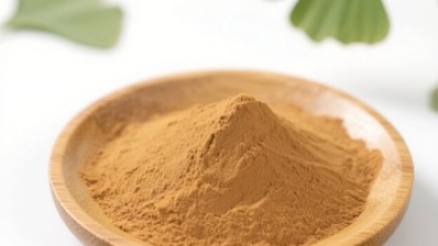 Wild Yam Root Extract Powder 1.jpg