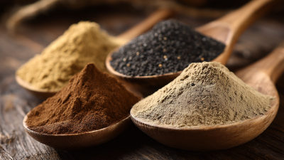 Vegan Protein Powder Market Trends Insights for the 2025 China 138th Canton Fair