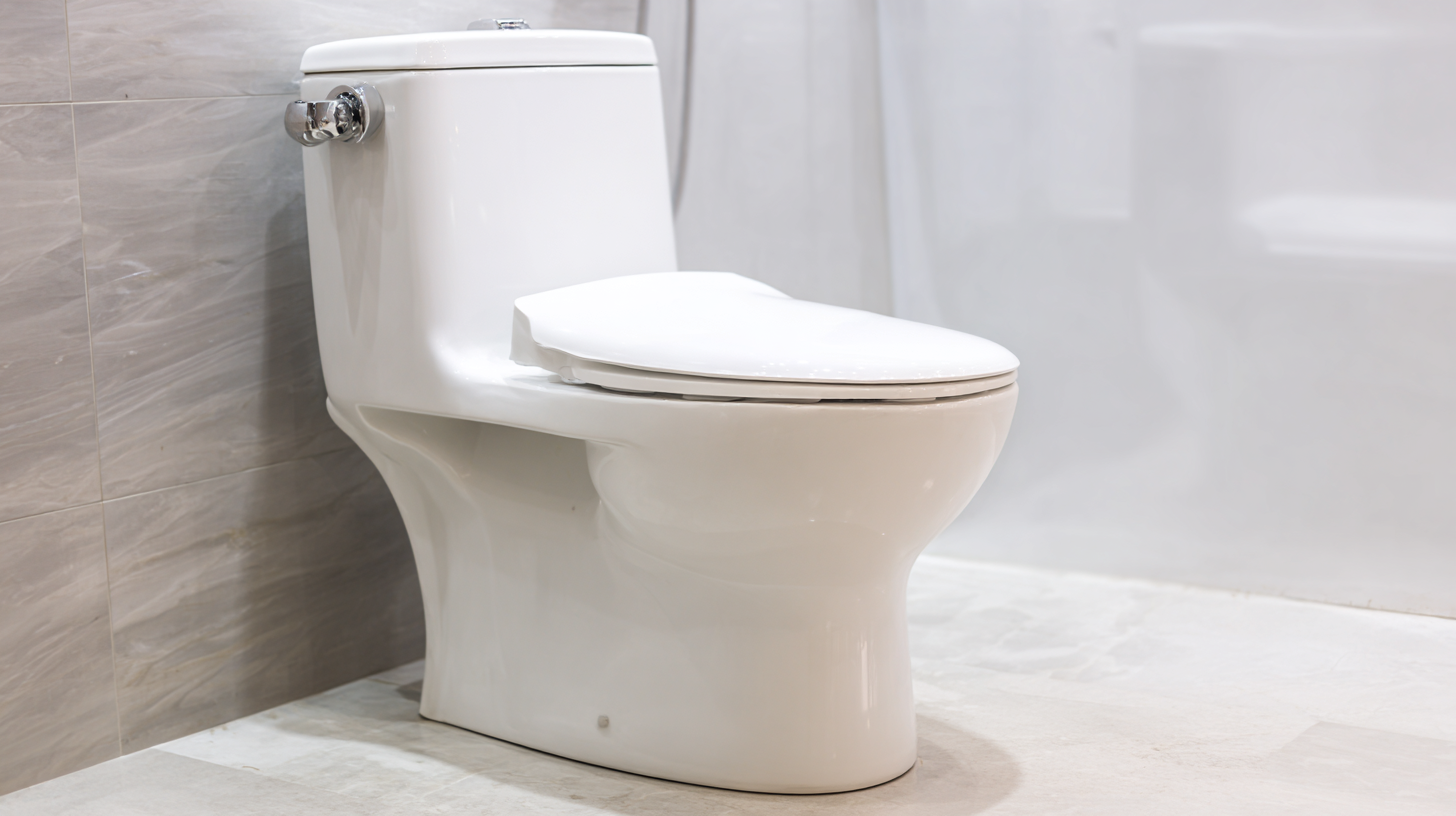 Exploring Market Trends for Compact One Piece Toilets at the 2025 China Import and Export Fair