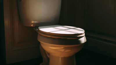 How to Choose the Perfect Ceramic Toilet Seat for Your Bathroom Upgrade