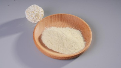 Lacticaseibacillus Casei YRL577 Probiotics Powder (1).png