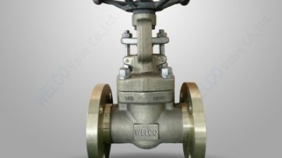 B148 C95800 gate valve.jpg