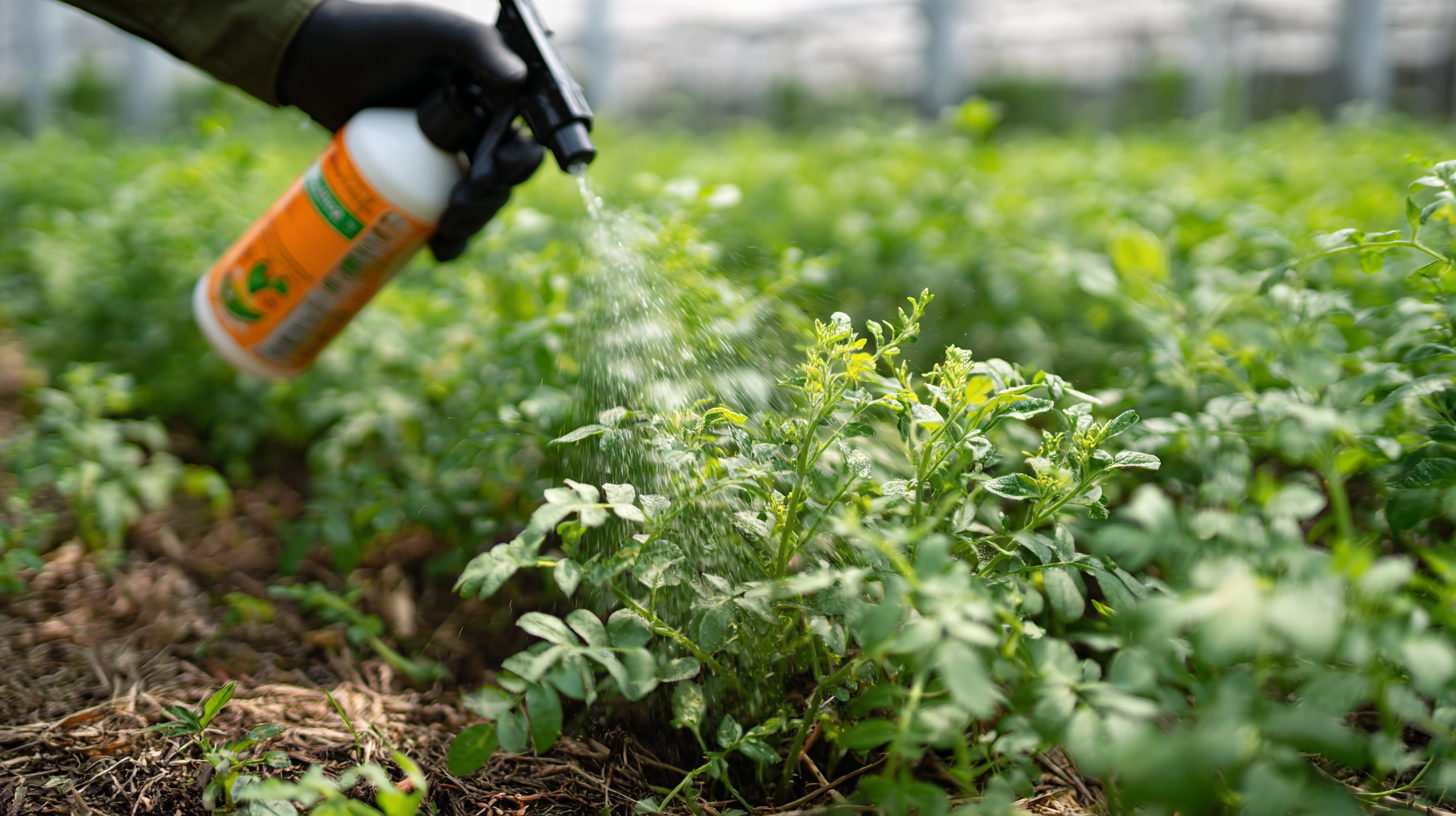 Exploring the Benefits and Risks of Glyphosate Liquid in Sustainable Agriculture
