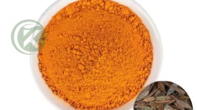 Macleaya Cordata Extract powder.jpg