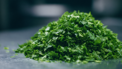 Unlocking the Nutritional Power of Freeze Dry Parsley for Modern Culinary Adventures