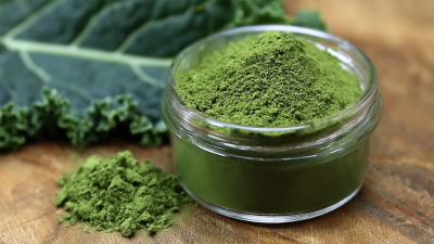 Nutritional Benefits of Incorporating Freeze Dried Kale Powder into Your Daily Diet