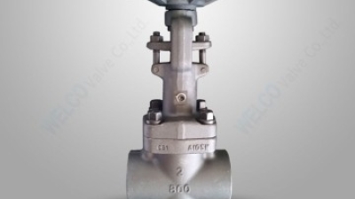 Forged steel gate valve with vacuum packing.jpg