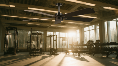Revolutionize Your Workout Experience with Fitness Ceiling Fans to Enhance Airflow and Performance