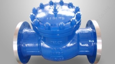 DIN standard swing check valve.jpg