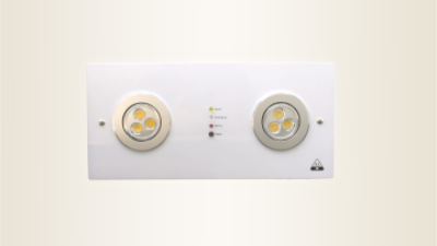 2x3w Recess Mounted LED Twin-Spot Emergency Light (12V).png