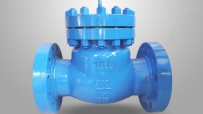 BS 1868 swing check valve.jpg