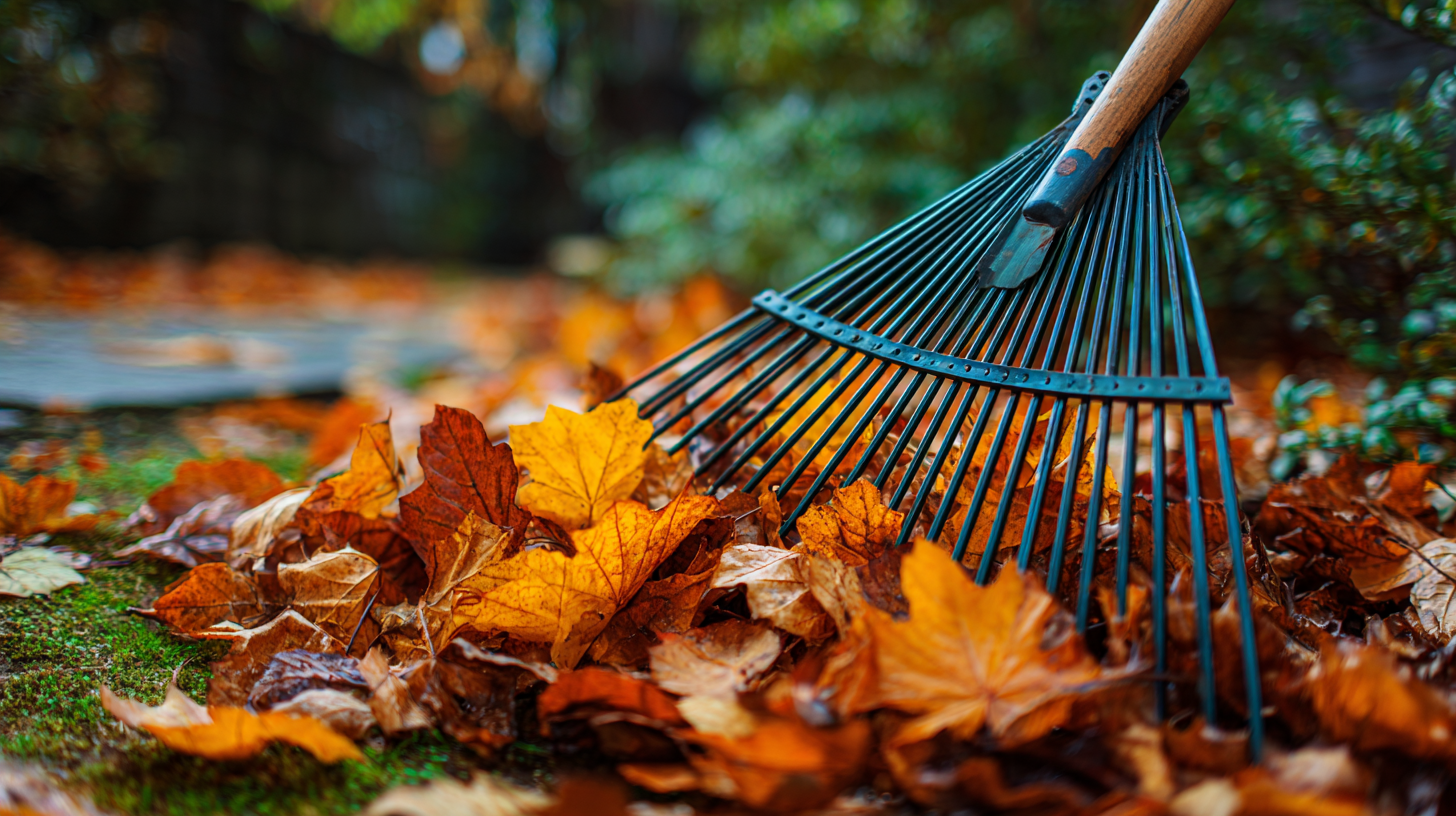 Discover the Hidden Benefits of Leaf Rakes for Your Garden Health
