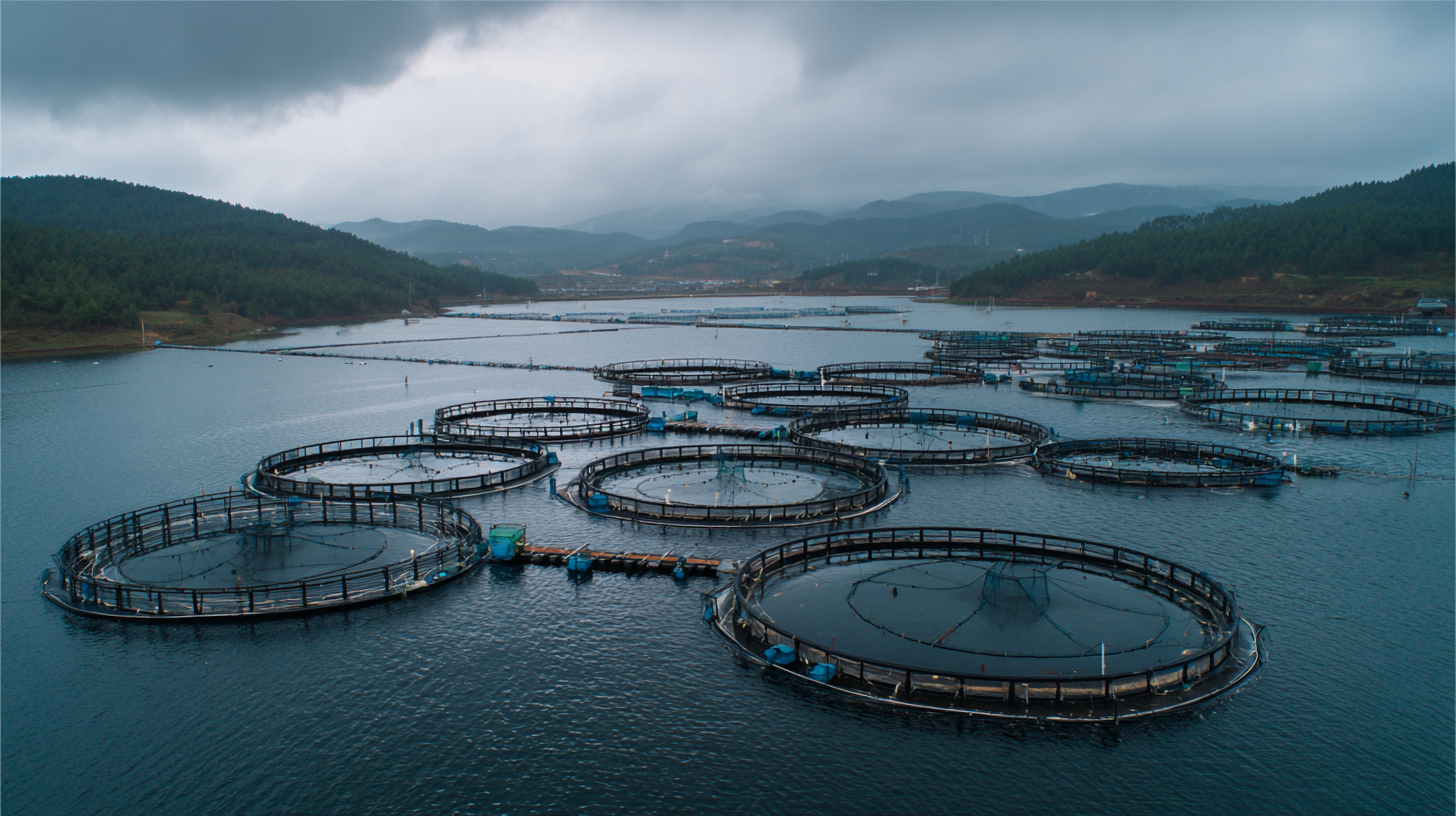 Exploring the Advantages of Disc Diffuser Technology in Aquaculture Systems