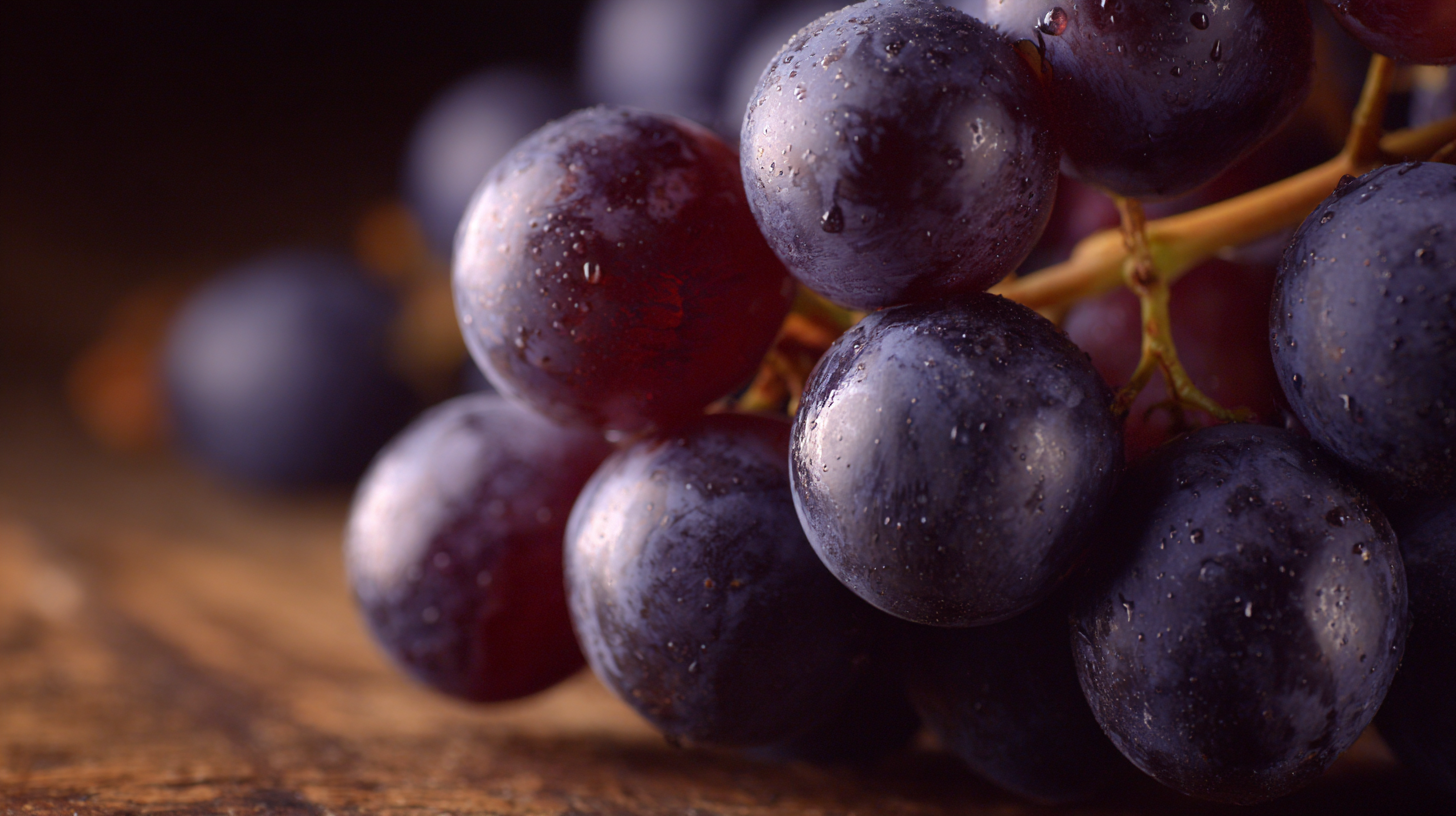 Unlocking the Secrets of Resveratrol in the Fight Against Ageing and Longevity