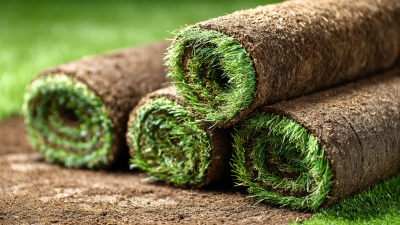 Turf Rolls Transforming Your Backyard into a Lush Green Oasis