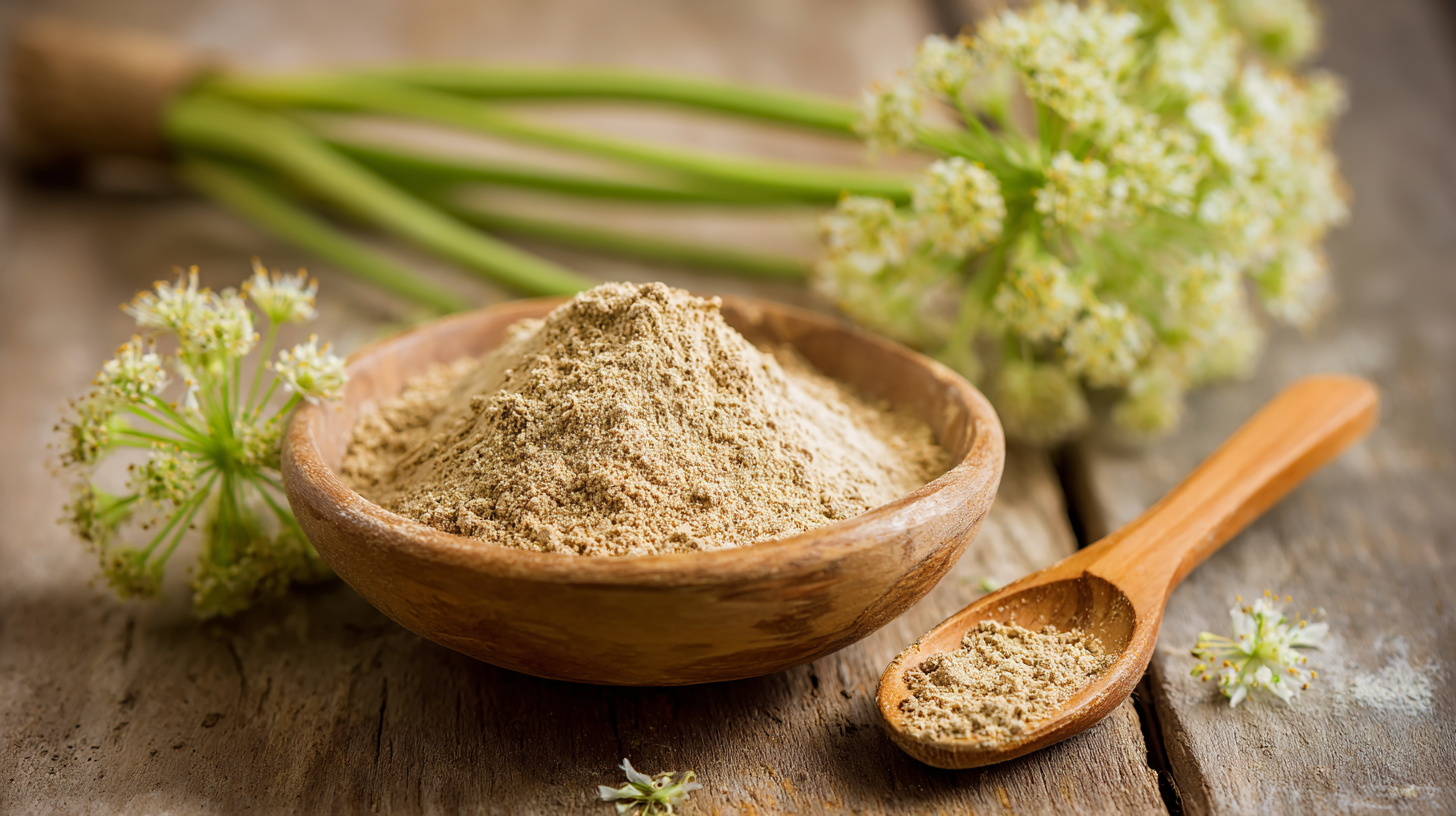 Unlocking the Benefits of Angelica Extract Powder: Nature's Secret for Holistic Wellness