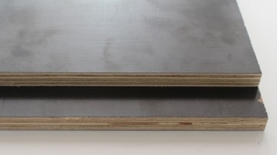 Exploring the Benefits of Plywood Ceiling Panels: A Sustainable Choice for Modern Living Spaces
