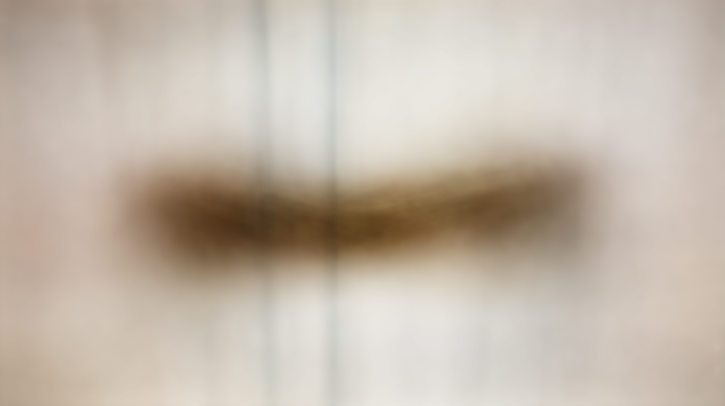 Unlocking the Secrets to Choosing the Perfect Bypass Shower Door for Your Bathroom Upgrade