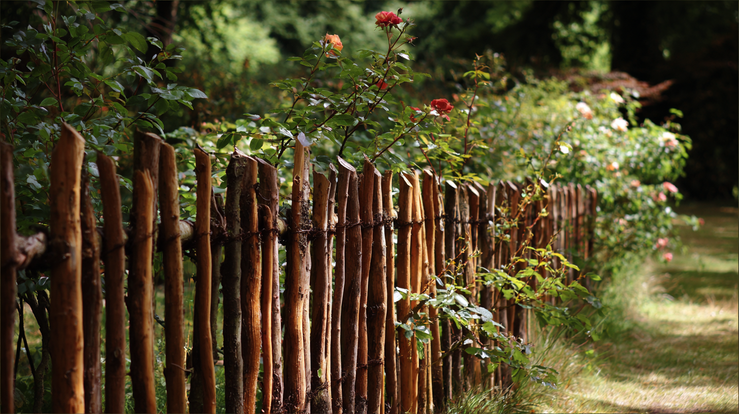 Creative Garden Fence Ideas to Enhance Security and Aesthetics in Your Outdoor Space