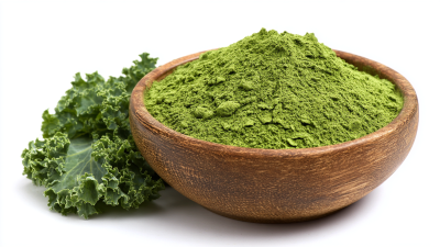 Unveiling the Benefits of Freeze Dried Kale Powder for Health and Wellness