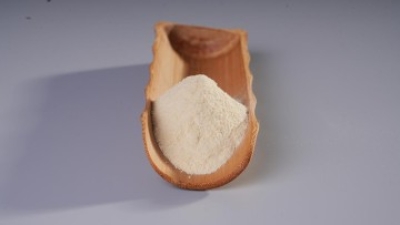 Bifidobacterium animalis subsp.lactis  (Postbiotics).jpg
