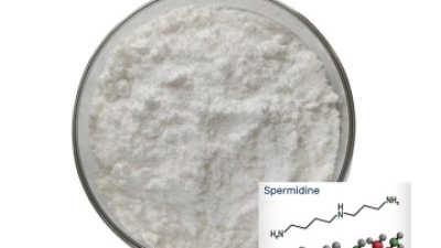 98%Spermidine.jpg