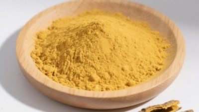 Phellodendron bark extract Berberine HCL Powder 1.jpg