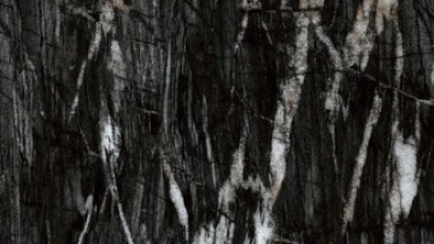 RAINFOREST BLACK High Gloss Sintered Stone Slab (1).jpg