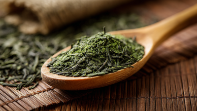 Unlocking the Power of Green Tea Extract How It Enhances Metabolism and Promotes Healthy Living