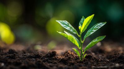 Unlocking the Future of Agriculture with Plant Biostimulants and Their Impact on Crop Yields