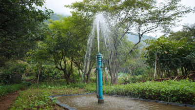 Discover the Benefits of Using Zri Solar Pump for Sustainable Water Solutions