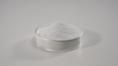 Lacticaseibacillus paracasei X11 Pet Probiotics powder.jpg