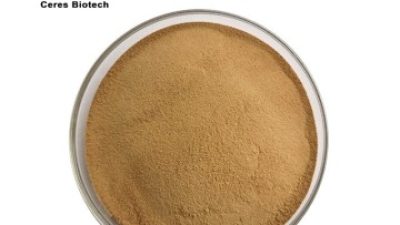 Semen Cuscutae Extract.jpg