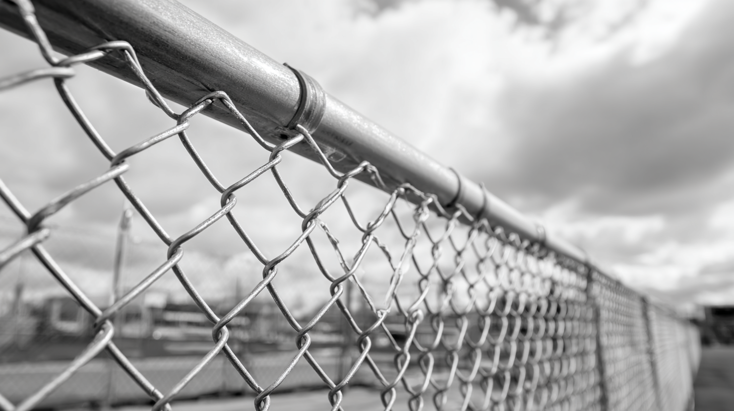 2025 Top 5 Steel Wire Mesh Fence Options for Durability and Security