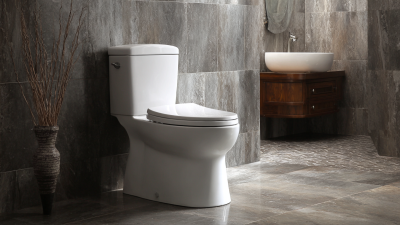 How to Choose the Perfect Modern One Piece Toilet for Your Bathroom Remodel