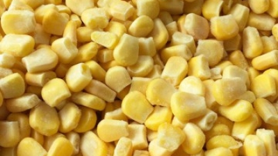 iqf frozen sweet corn.jpg