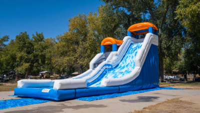 2025 Top Titanic Inflatable Slide for Ultimate Summer Fun and Adventure