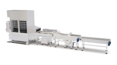 DPL Series Automatic Yeast Donut Production Line.jpg