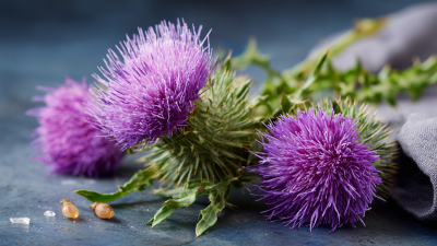What is Glutathione and Milk Thistle Benefits for Liver Health and Detoxification