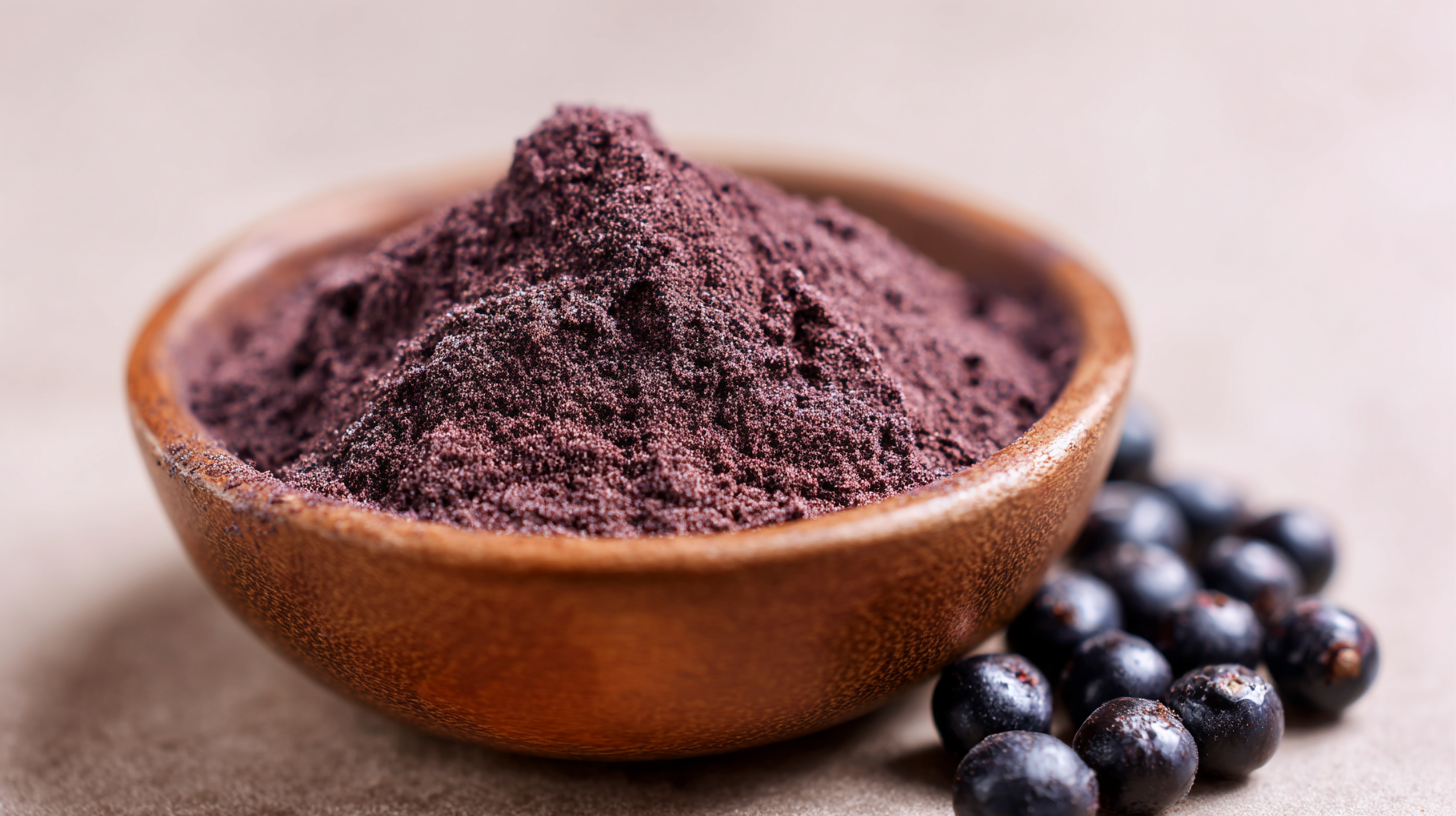 Why Acai Berry Powder is the Ultimate Superfood for Your Health and Wellness