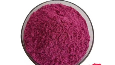 Dragon Fruit Powder 1.jpg