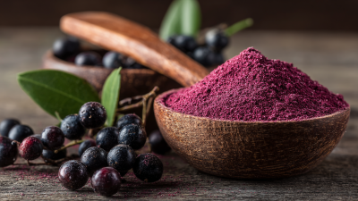 Why Acai Berry Powder is the Ultimate Superfood for Your Health and Wellness