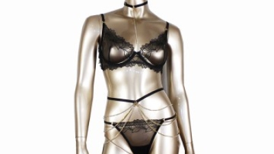Luxury Embroidery Lace Lingeire With Golden Metal Trim (2).jpg