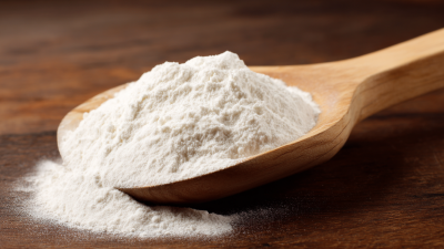 2025 Top 10 Uses of Methylcellulose in Food: Enhancing Texture, Stabilization, and Nutrition