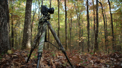 10 Essential Tips for Choosing the Best Tripod Hunting Stand