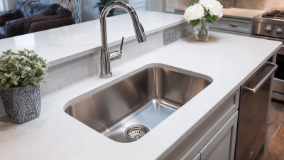 10 Best Kitchen Sink Ideas to Transform Your Home Cooking Experience