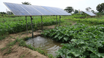 Top 5 Benefits of Using Solar Water Pumps for Irrigation in Sustainable Farming